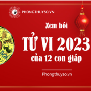Tử vi 2023 Phongthuyso.vn's avatar