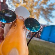 Alexander Domilescu's avatar