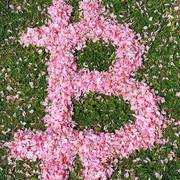 rosie-kimhoa's avatar