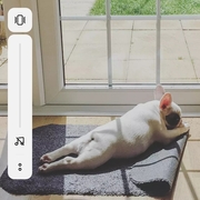 Jimmy Cent's avatar