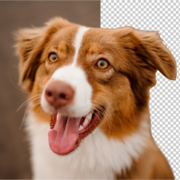 peggya alpha's avatar