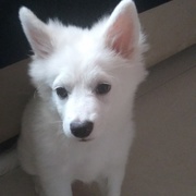 NANDINI Patange's avatar