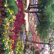 Seema Pagare's avatar