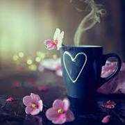 michal short's avatar