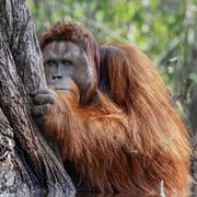 Sergio Deenz Sergio Deenz