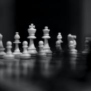 Rayane Tayache's avatar