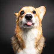 Bianca Davies's avatar