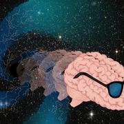 Peter Arnold's avatar