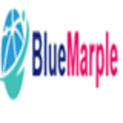 bluemarple site's avatar