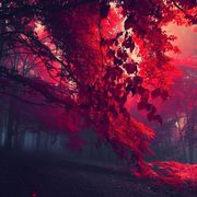 Abinesh Ananthan
