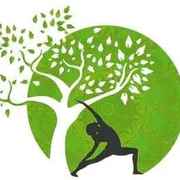 rishikesh yogshiksha's avatar