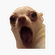 Jason Dovey's avatar