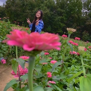 Grace Fang