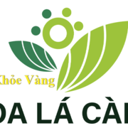 Hoa Lá Cành's avatar