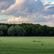 Shivam Patel's avatar