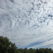 Victoria Cimpu's avatar