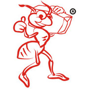 Kiến Đỏ Miền Nam's avatar