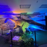 Pradeepta Sarangi's avatar