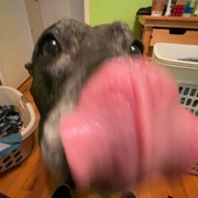 Chris Mitchell's avatar