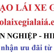 Gia Lai Đào tạo lái xe's avatar