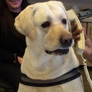 Jason Glyph's avatar