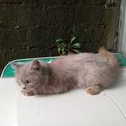 jasaseo sedoso's avatar