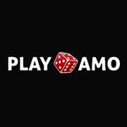 playamo casino's avatar