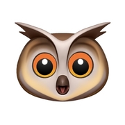 Yitong Shan's avatar