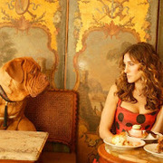 Vivian Deng's avatar