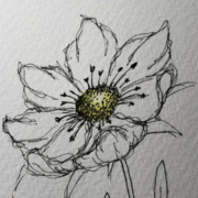 Sarah Thompson's avatar