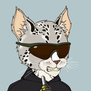 Martin Cat's avatar
