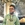 Mayank Prajapati