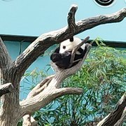 Jian Kiat Ong's avatar