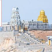 tirupati helps's avatar