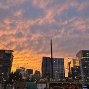 Nina Filizola's avatar