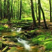 Geeta Geeta's avatar