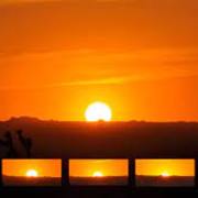 James Trent's avatar