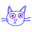 Hacker Cat