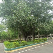 Vishal Anand's avatar