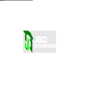 JBO International's avatar