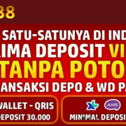 mega338 situs judi's avatar