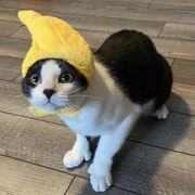 Natalie Nascimento's avatar