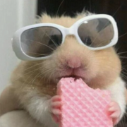 Stephanie Florescu's avatar