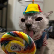 Fernando Alarcon Fernando Alarcon