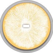 Harish Sindhi's avatar