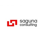 Saguna Consulting's avatar