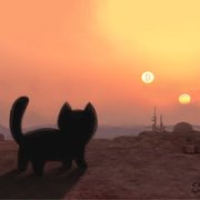 CryptoCat | UDFam