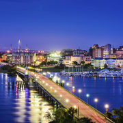 maddi Oliveira's avatar