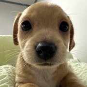 Víctor Hugo Ramírez Moreno