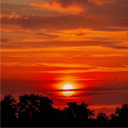 Iakim Vakrilov's avatar